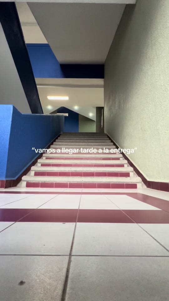 Post 8 by Daria Sandoval on TikTok (video)