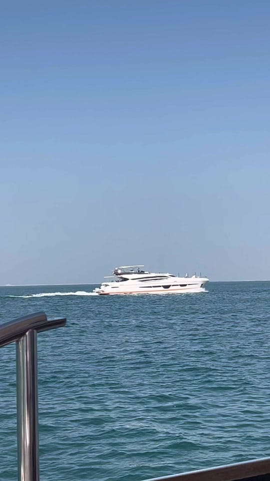 Post 3 by Manal Shaikh on TikTok (video)