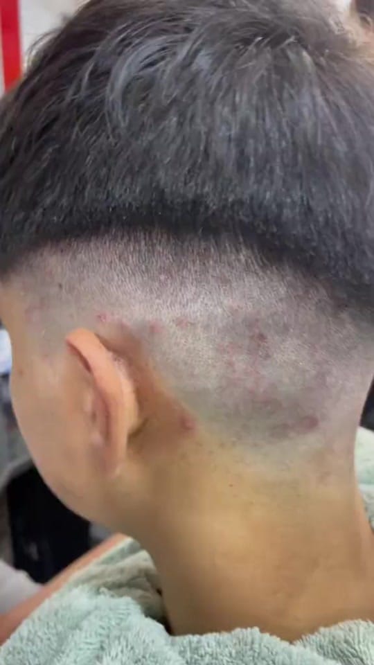 Post 6 by Formen ali gür on TikTok (video)