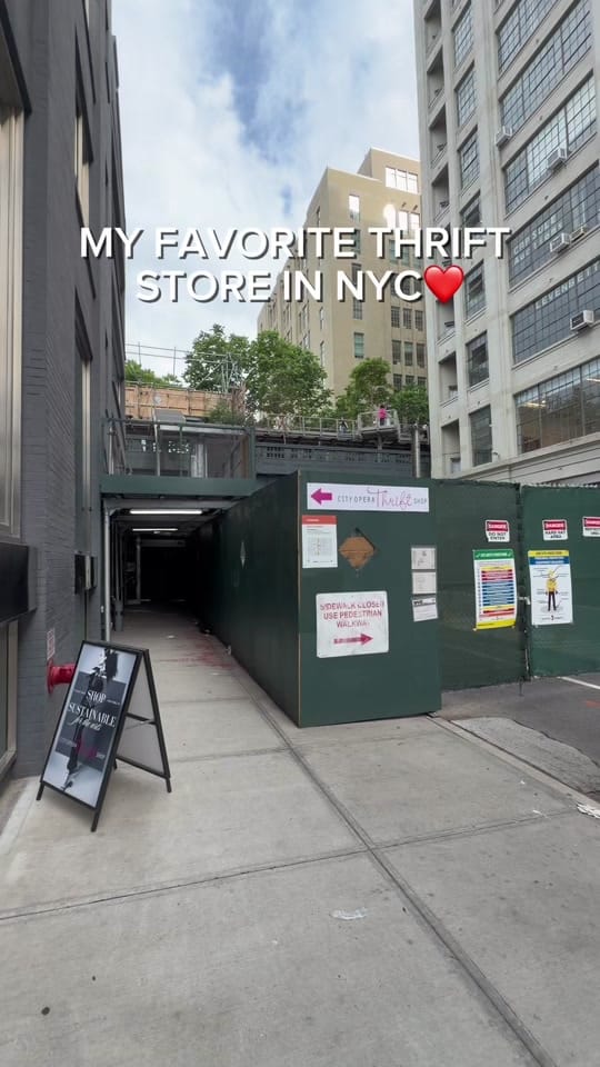 Post 3 by liasantiagonyc on TikTok (video)