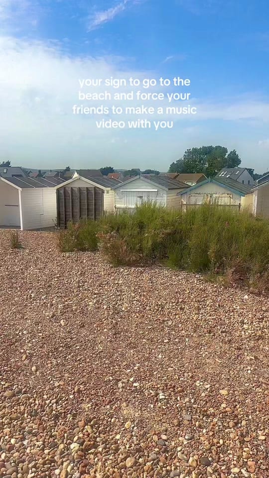 Post 6 by shivani dasani🦋💐 on TikTok (video)