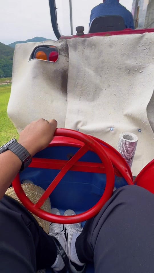 Post 6 by Nancy on TikTok (video)