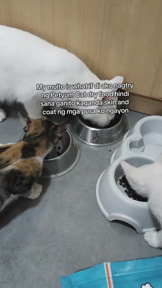 Post 6 by wengsantiago0 on TikTok (video)