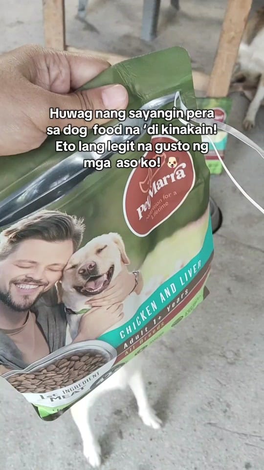 Post 4 by wengsantiago0 on TikTok (video)