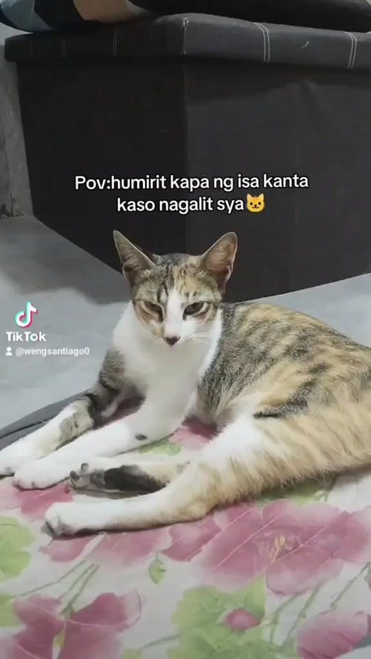 Post 2 by wengsantiago0 on TikTok (video)
