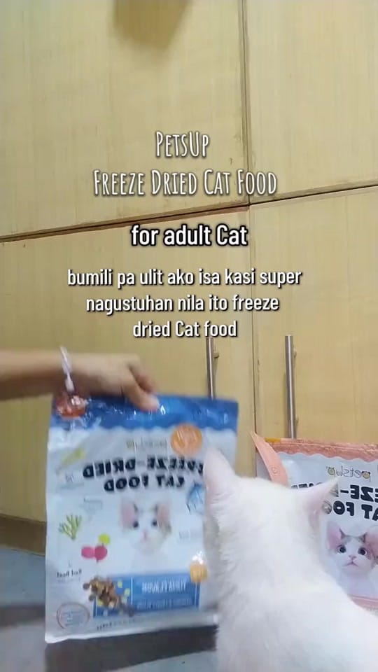 Post 5 by wengsantiago0 on TikTok (video)