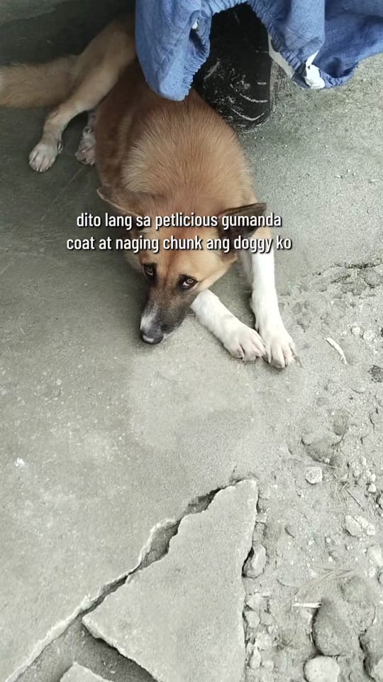Post 1 by wengsantiago0 on TikTok (video)