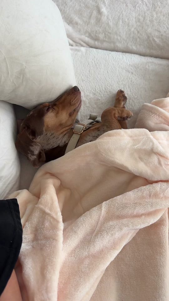 Post 9 by Andrea | Founder @BeModestly on TikTok (video)