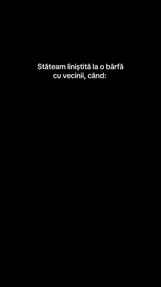 Post 8 by Oana Aeniov on TikTok (video)
