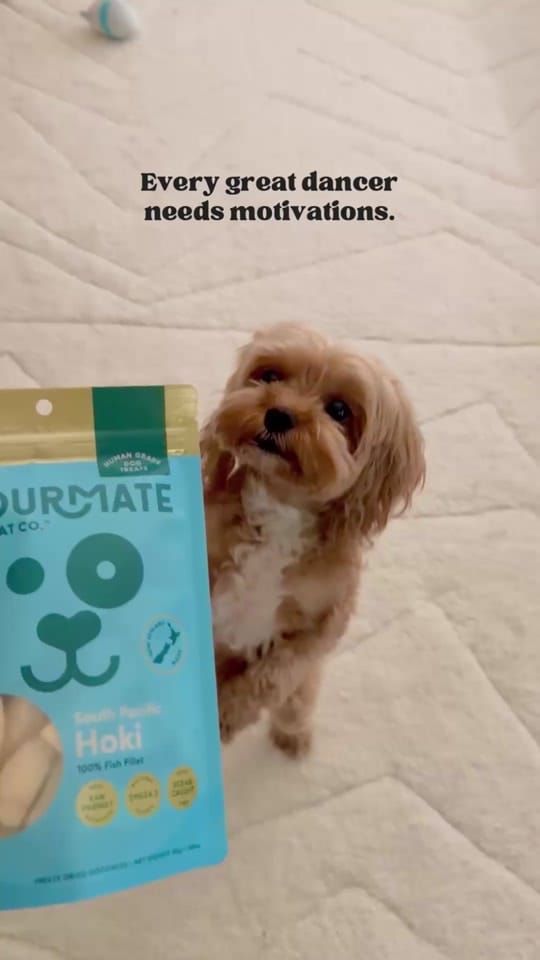 Post 1 by Mona Bear on TikTok (video)
