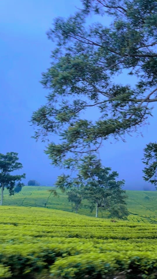 Post 6 by UMi Al-Fatih Skincare on TikTok (video)