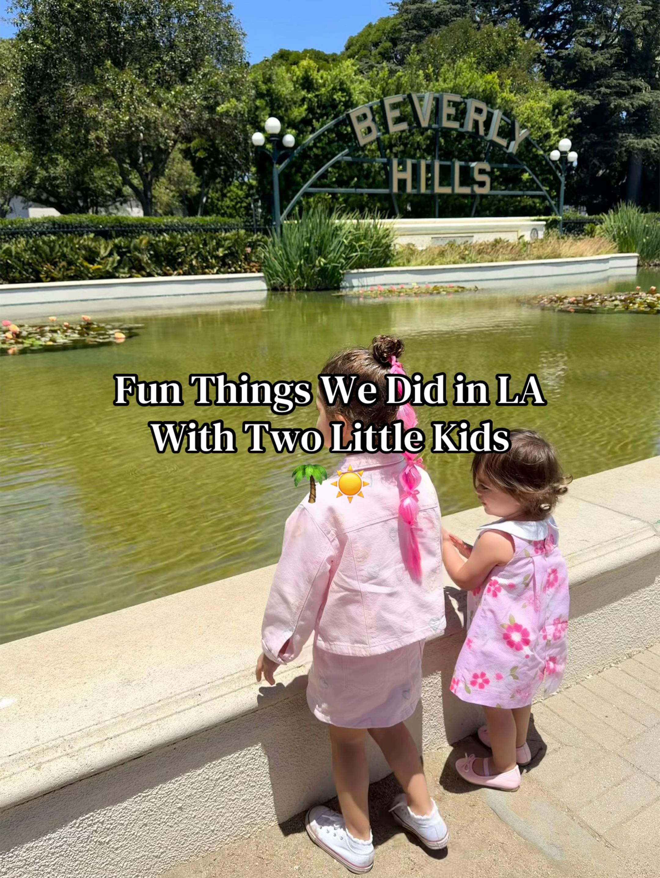 Post 6 by Lynn Lattouf on TikTok (video)