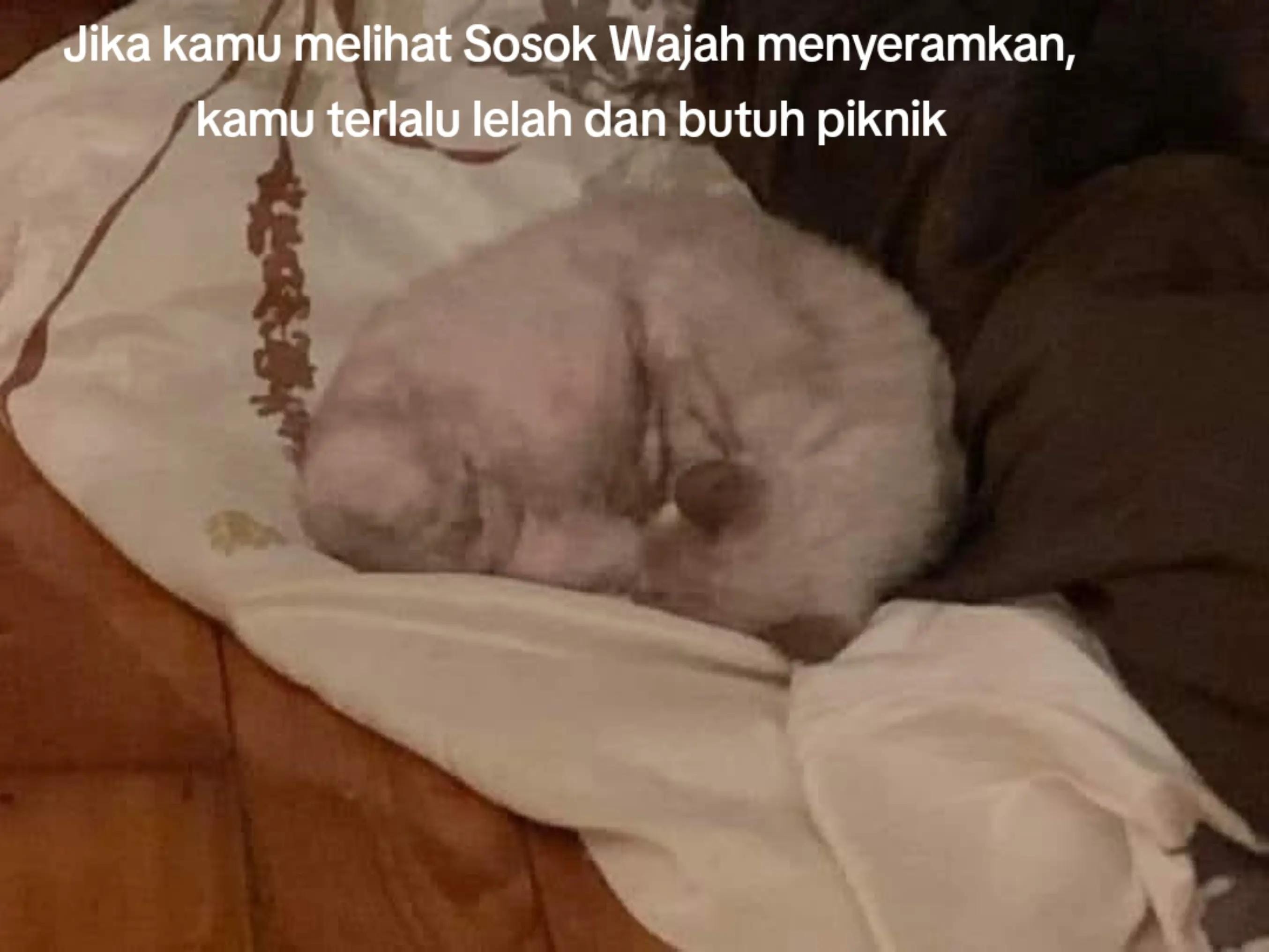 Post 6 by Shanty Octavia Utami Official on TikTok (video)