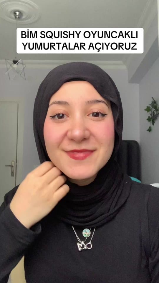 Post 6 by 🦋Cansu🦋 on TikTok (video)