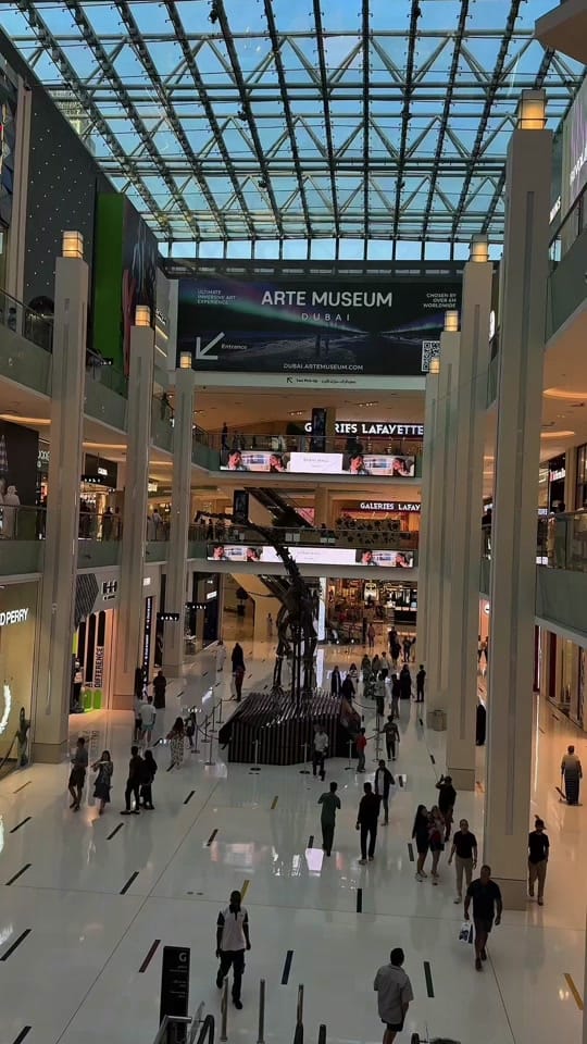 Post 7 by Monique | life in Dubai on TikTok (video)