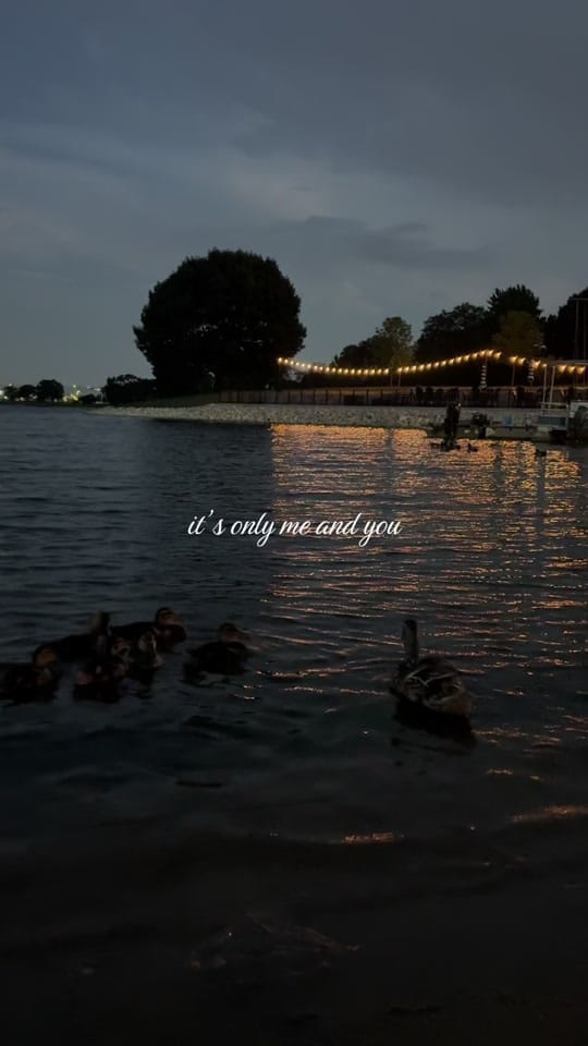 Post 5 by dayanna ♡ on TikTok (video)