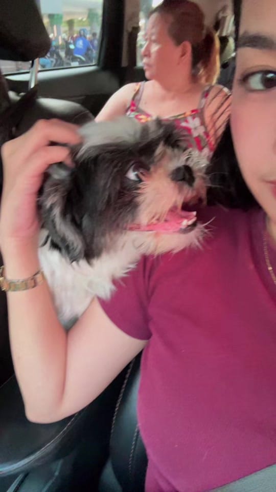Post 3 by EULA on TikTok (video)
