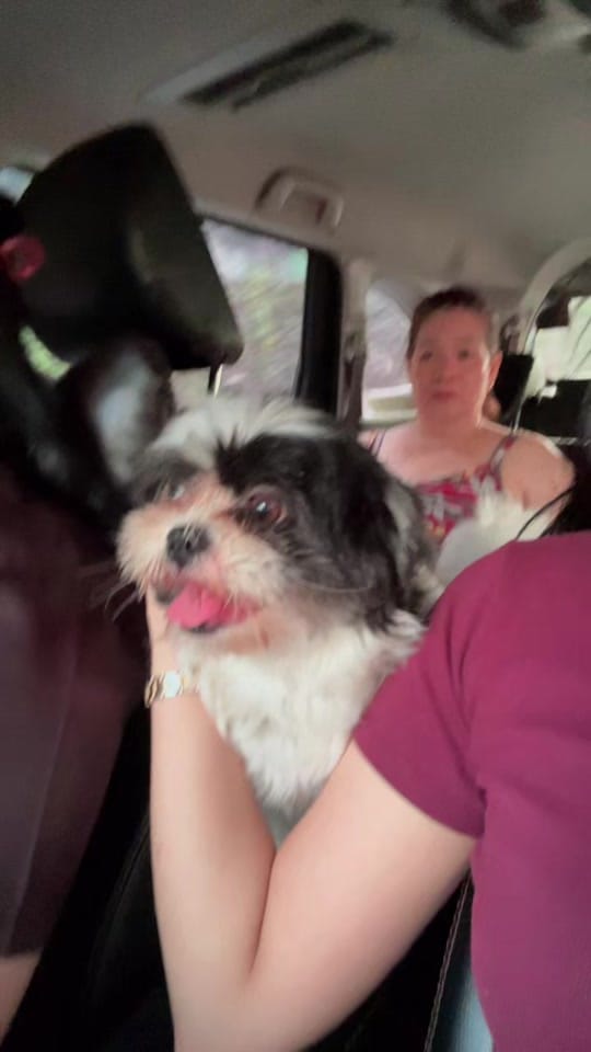 Post 4 by EULA on TikTok (video)
