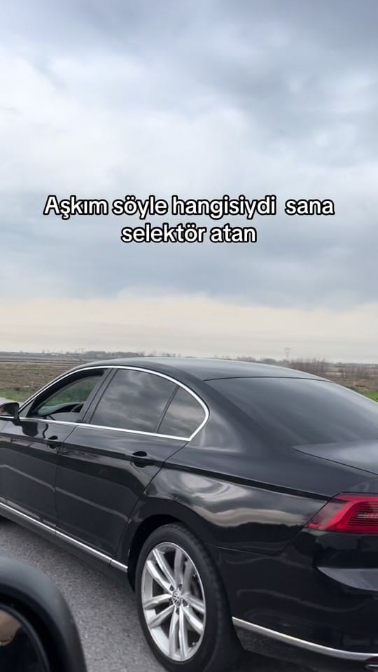 Post 9 by HelinY on TikTok (video)