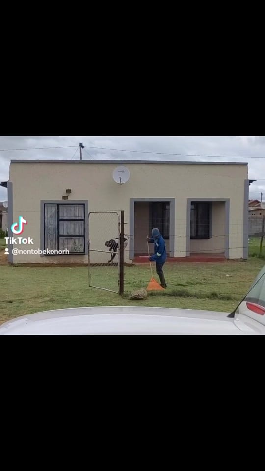 Post 10 by Norh Shongwe on TikTok (video)