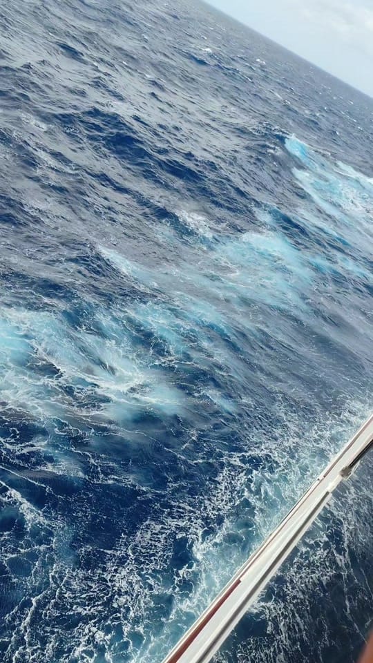 Post 8 by Norh Shongwe on TikTok (video)