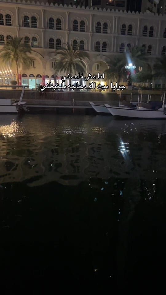 Post 3 by randa.alghanem on TikTok (video)