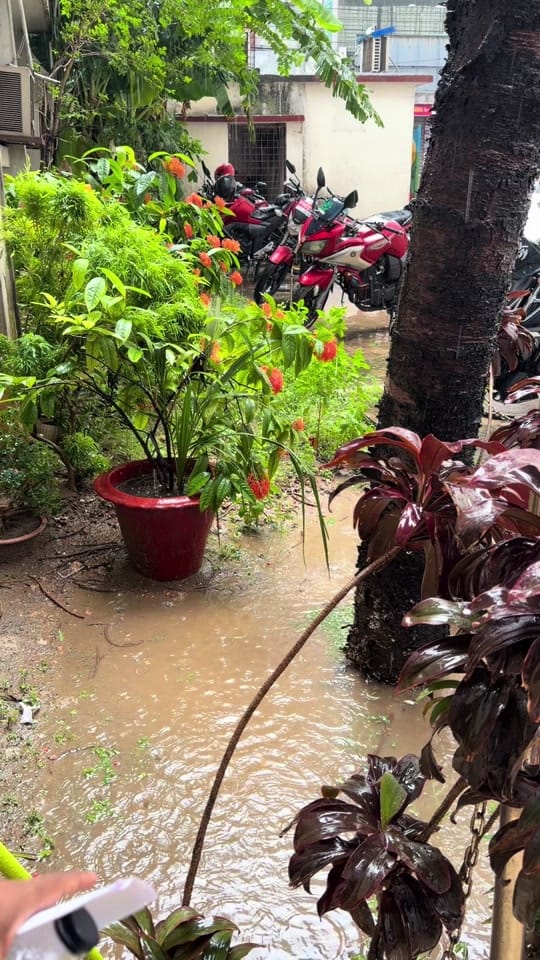 Post 4 by alfahimshop on TikTok (video)