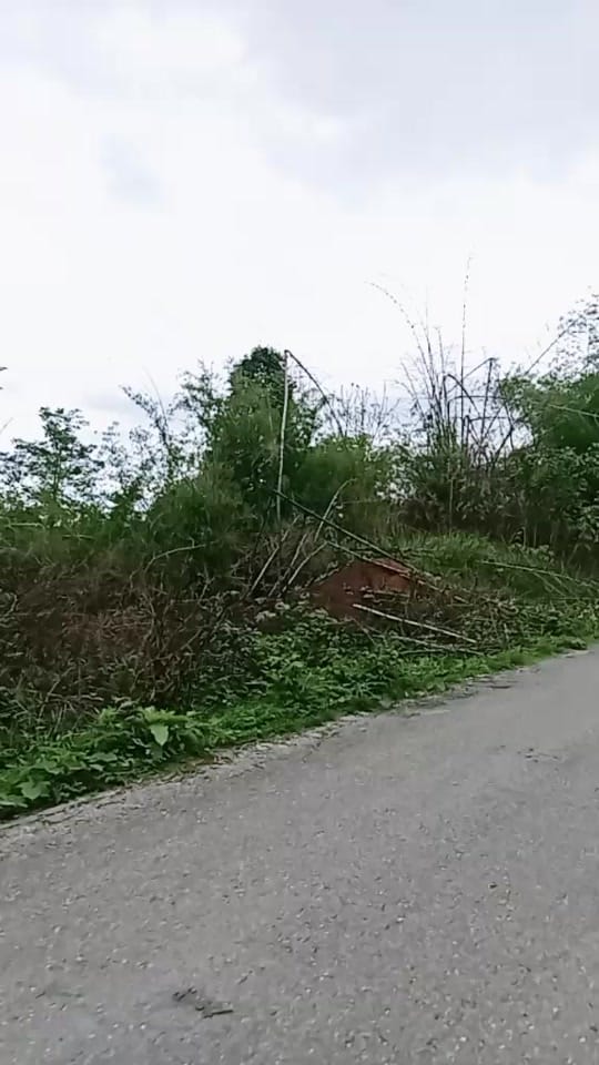Post 4 by Su Su (Magic) on TikTok (video)