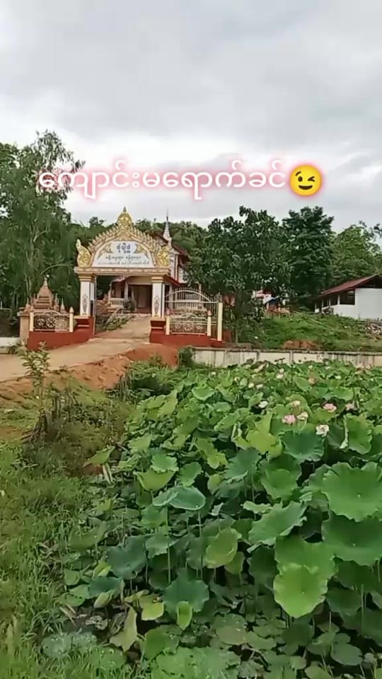 Post 5 by Su Su (Magic) on TikTok (video)