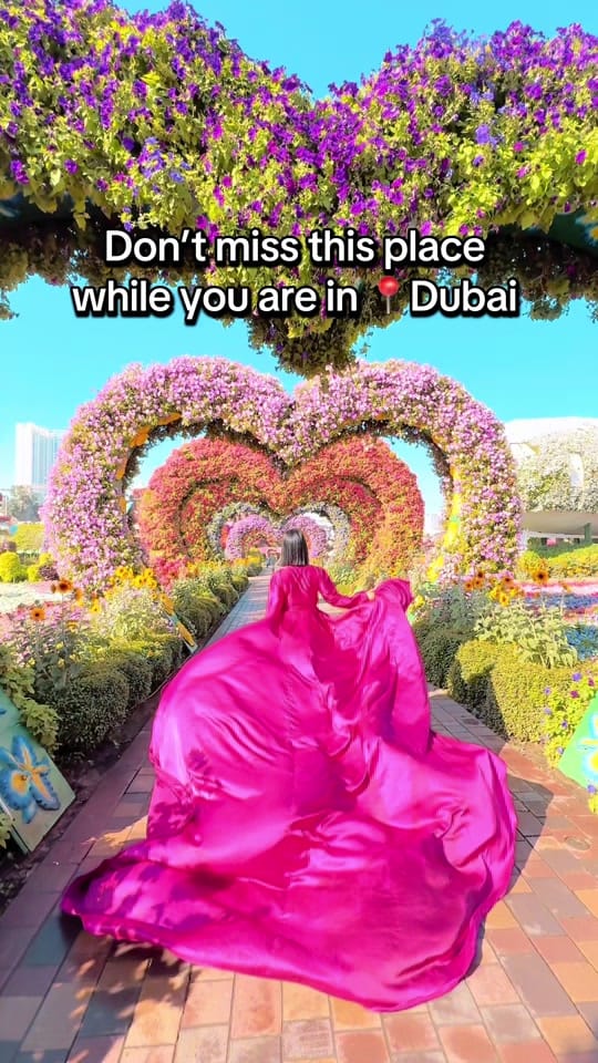 Post 6 by Elissa_dubai_photographer on TikTok (video)
