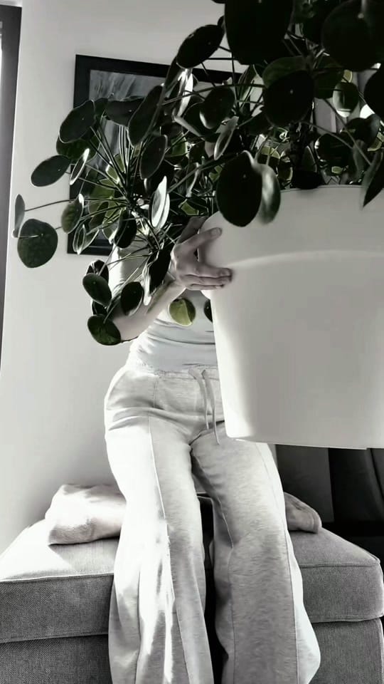 Post 4 by Britt Bellens on TikTok (video)