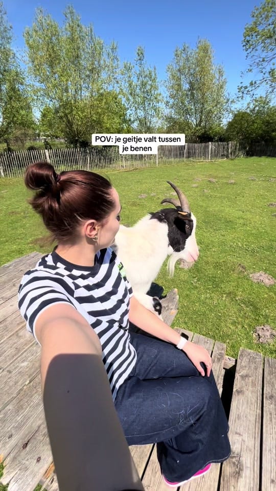 Post 7 by Britt Bellens on TikTok (video)