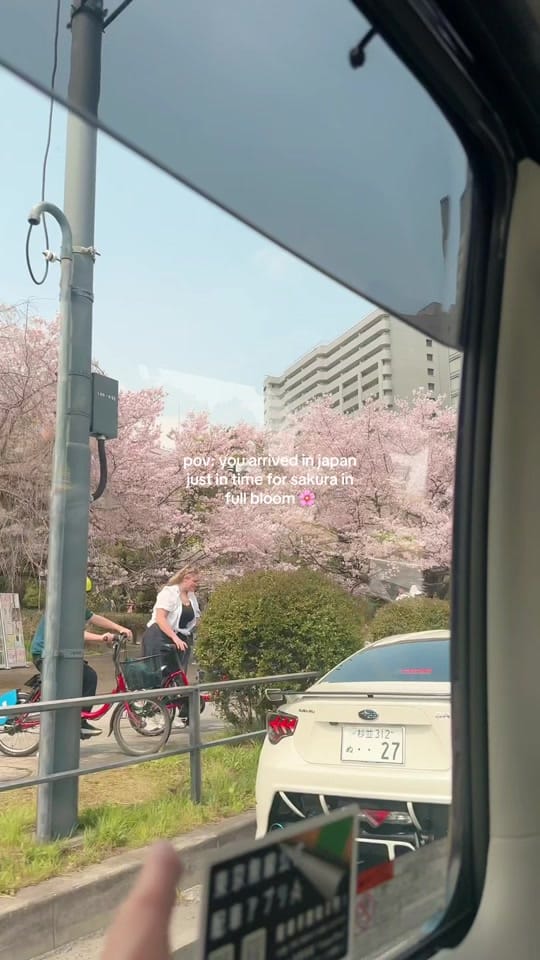 Post 7 by aliciasannn on TikTok (video)