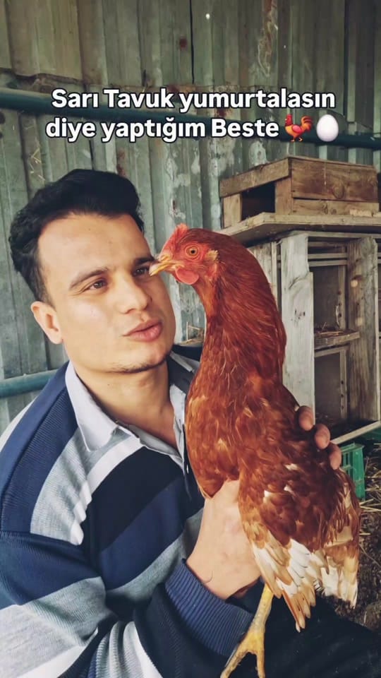 Post 4 by Ali Erdoğan on TikTok (video)