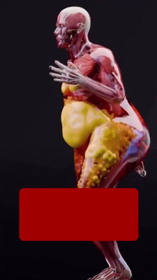 Post 7 by Ramazan Binbuğa on TikTok (video)