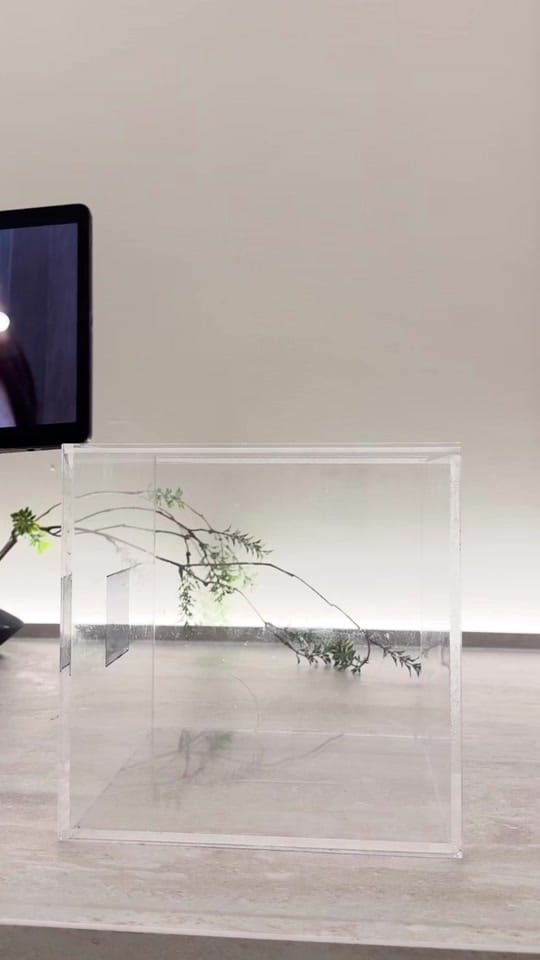 Post 2 by valuclinic_dr.lee on TikTok (video)