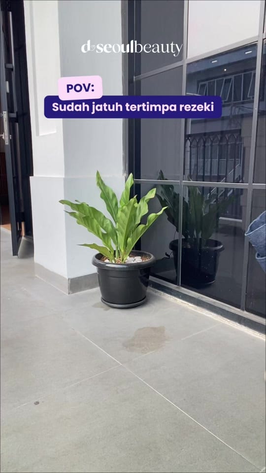 Post 7 by D Seoul Beauty on TikTok (video)