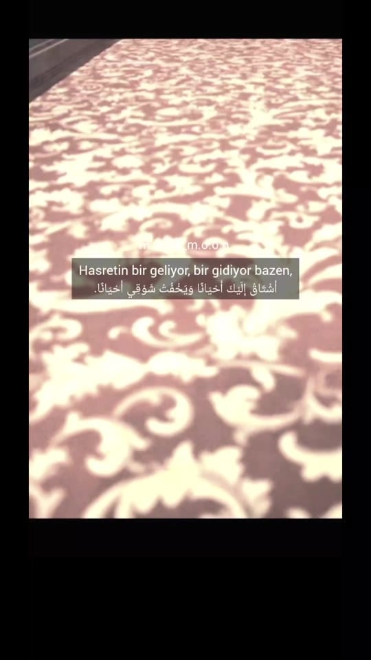 Post 1 by 🇪🇬MoOn🇹🇷 on TikTok (video)