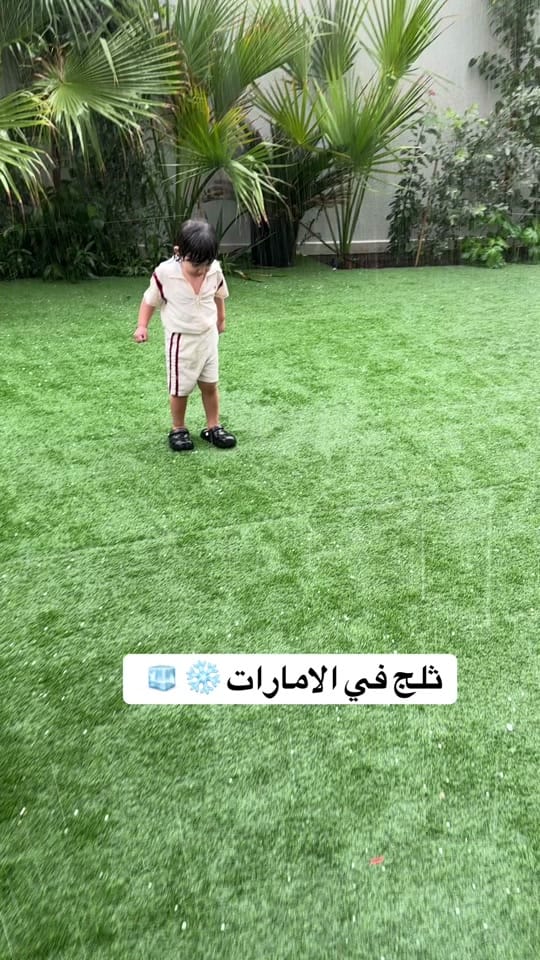 Post 4 by Nareeman Fawzy on TikTok (video)