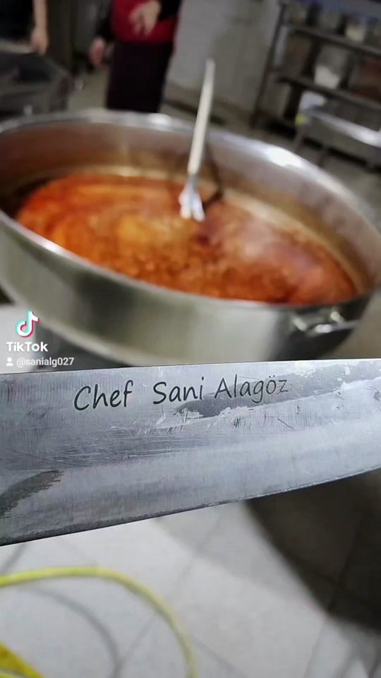 Post 7 by Sani Alagöz on TikTok (video)