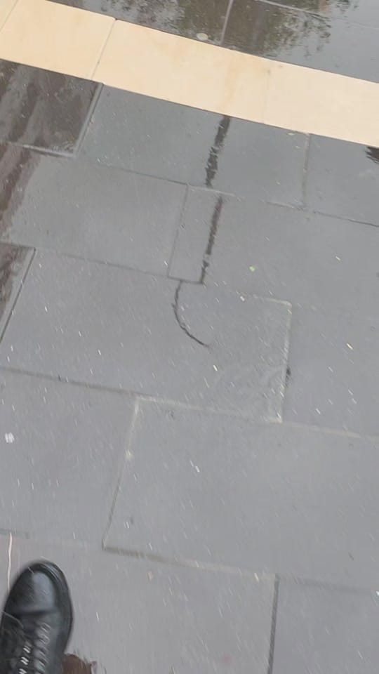 Post 2 by Sani Alagöz on TikTok (video)