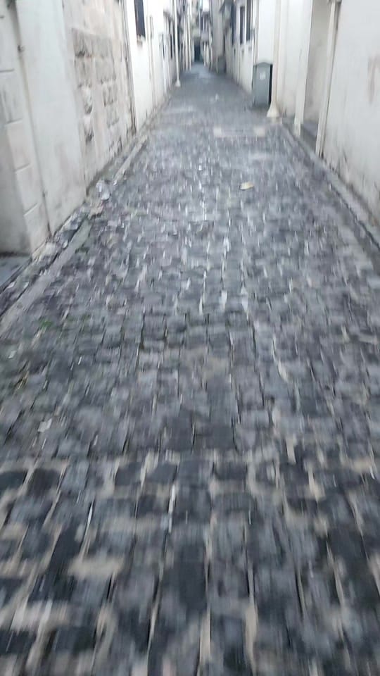Post 1 by Sani Alagöz on TikTok (video)