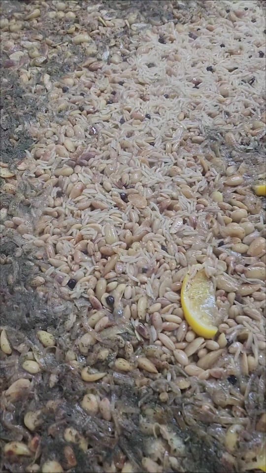 Post 3 by Sani Alagöz on TikTok (video)
