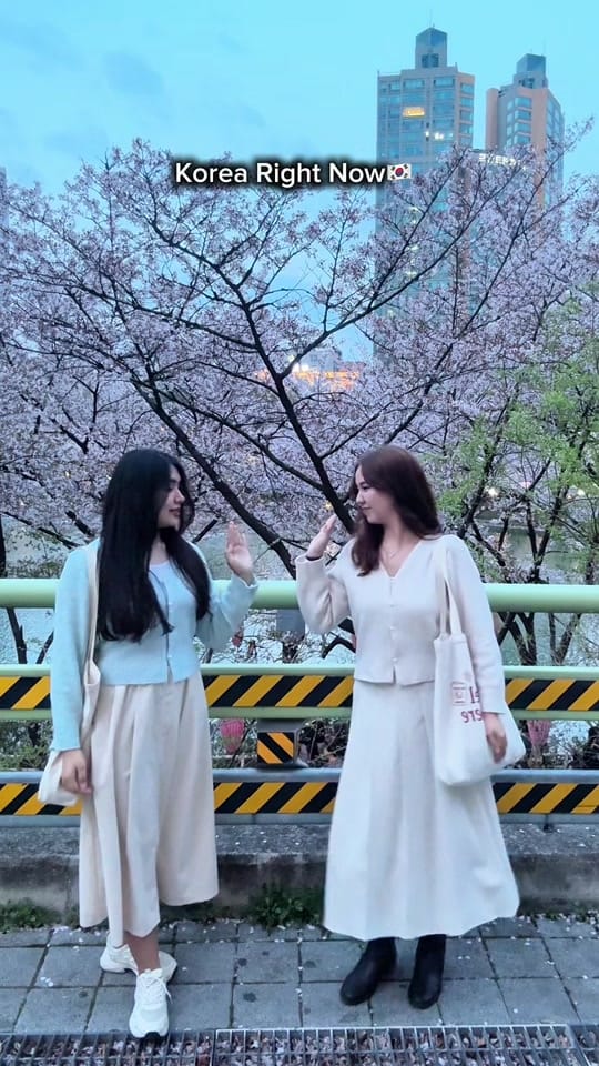 Post 10 by 디나 💕 on TikTok (video)