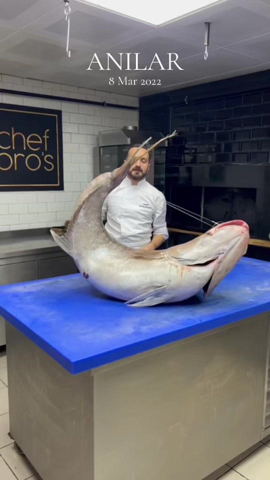 Post 6 by Faruk Cheff on TikTok (video)