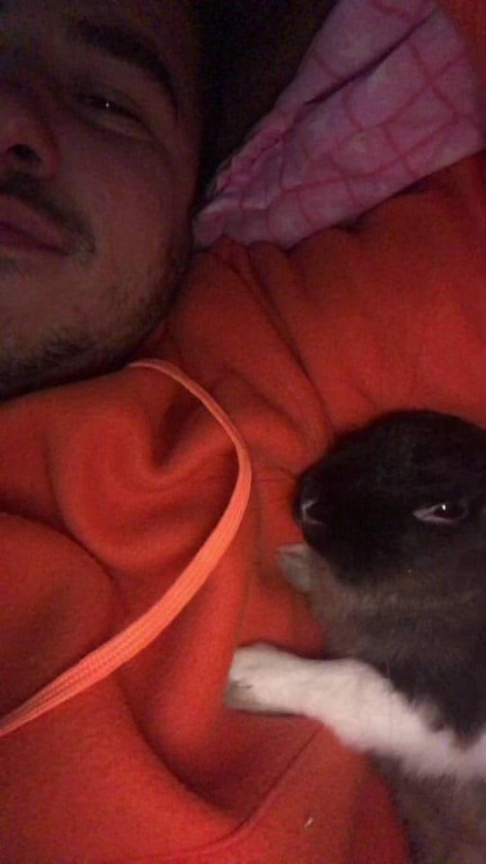 Post 2 by Fatih Koçak on TikTok (video)