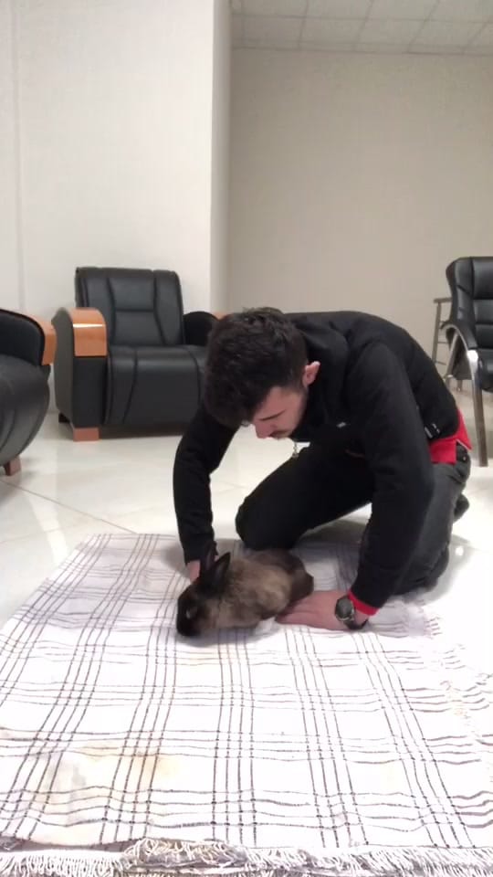 Post 7 by Fatih Koçak on TikTok (video)
