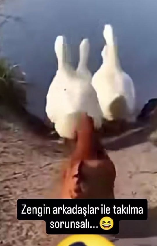 Post 7 by mustafa özusan on TikTok (video)