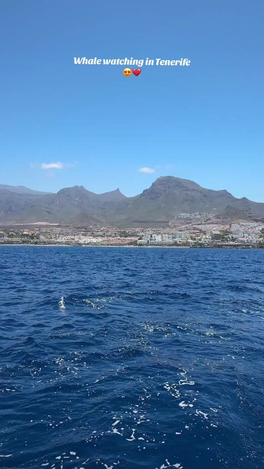 Post 1 by Dubaiphotographer on TikTok (video)