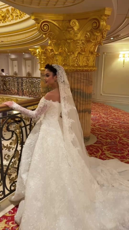 Post 5 by ناصر سلام on TikTok (video)